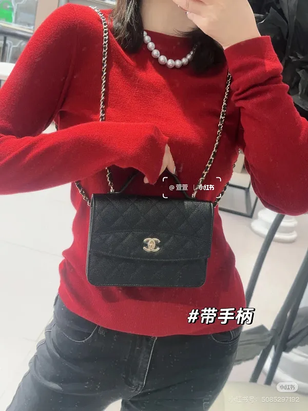 All Categories Chanel Women's Bags (Chanel) Chanel 2869