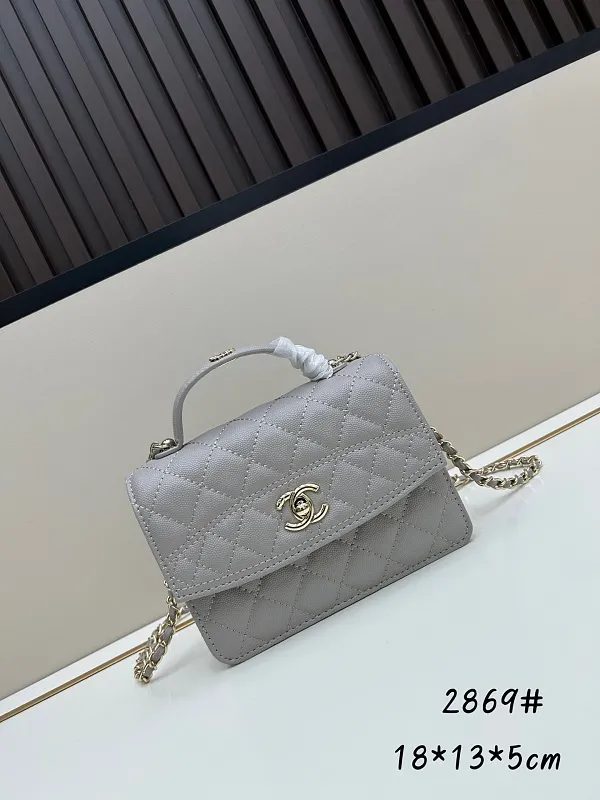 All Categories Chanel Women's Bags (Chanel) Chanel 2869