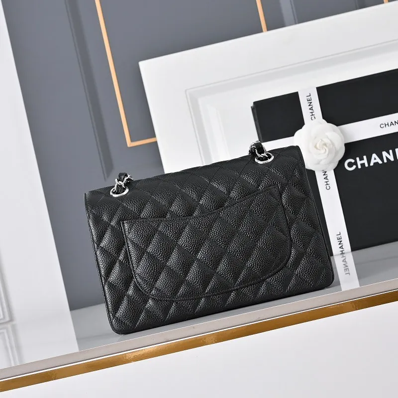 All Categories Chanel Women's Bags 2 (Chanel) Chanel Original Order 1113 All Steel