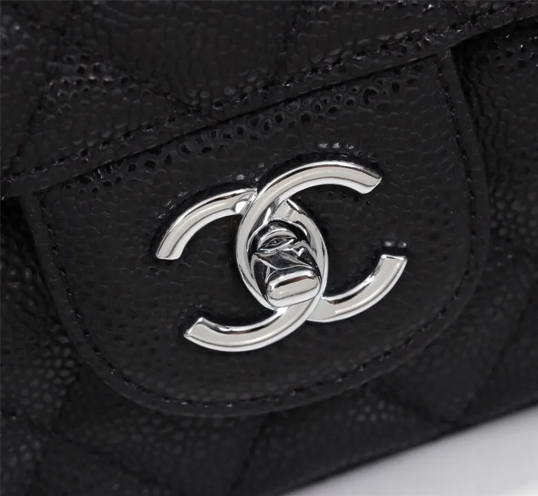 All Categories Chanel Women's Bags (Chanel) Chanel 1113
