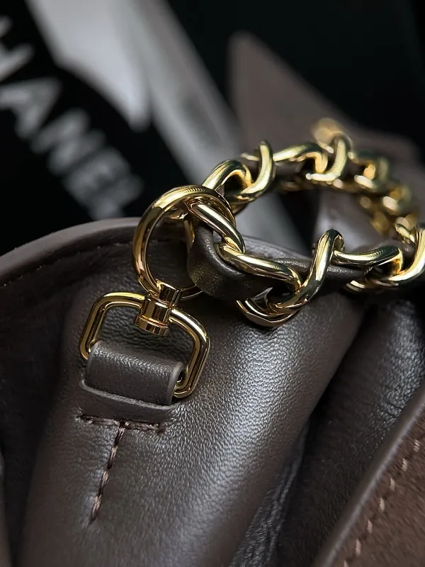 All Categories Chanel Women's Bags (Chanel) Chanel Original Order AS6281