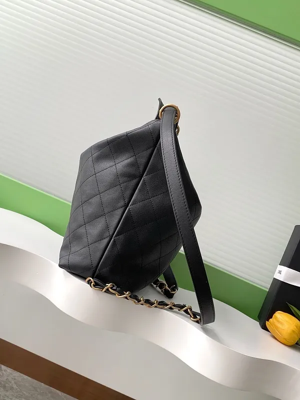 All Categories Chanel Women's Bags (Chanel) Chanel AS5517