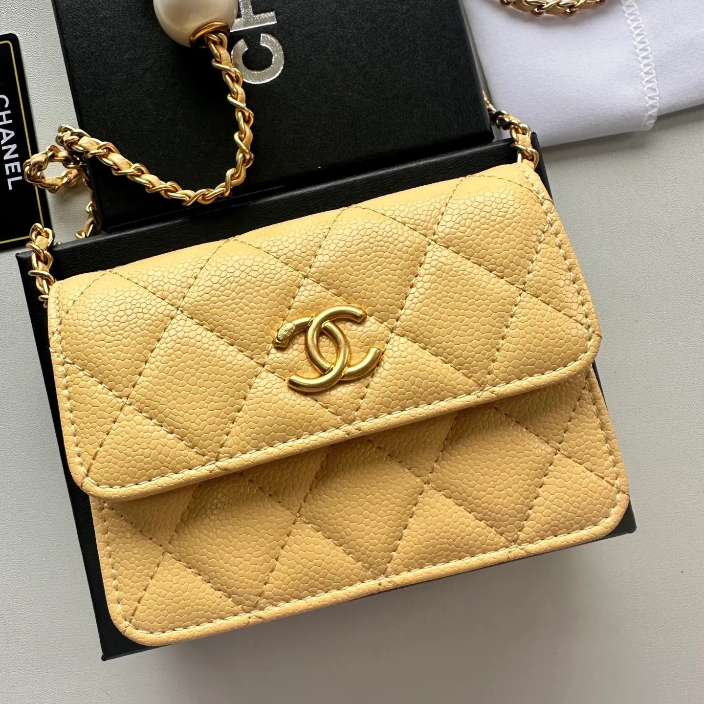 All Categories Chanel Women's Bags (Chanel) Chanel 31509