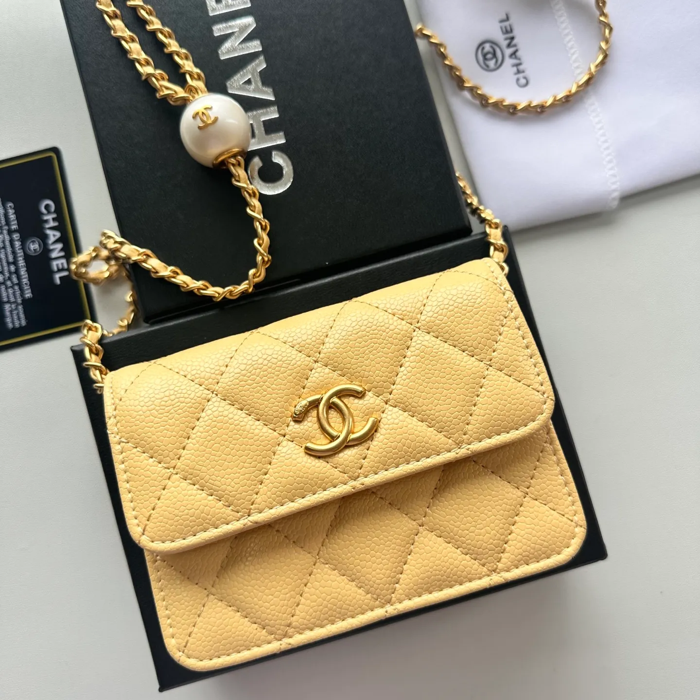 All Categories Chanel Women's Bags (Chanel) Chanel 31509