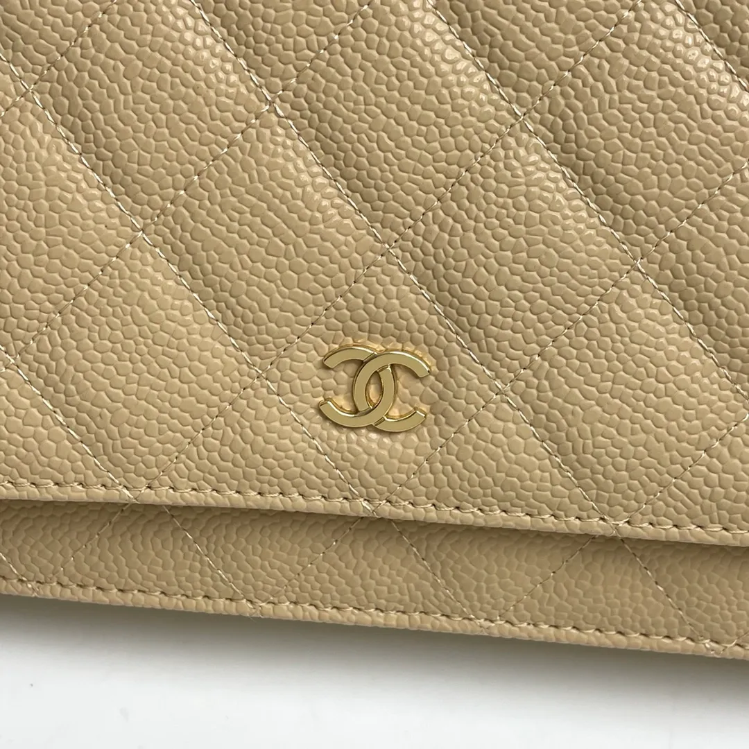 All Categories Chanel Women's Bags (Chanel) Chanel A33814