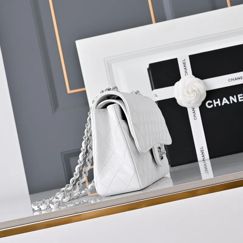 All Categories Chanel Women's Bags 2 (Chanel) Chanel Original Order 1112 All Steel