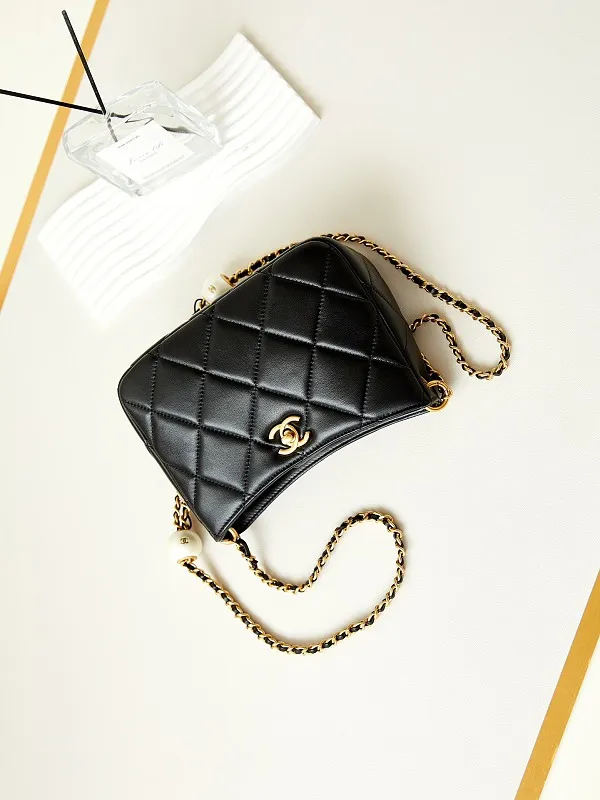 All Categories Chanel Women's Bag 2 (Chanel) Chanel Original Order AS4859