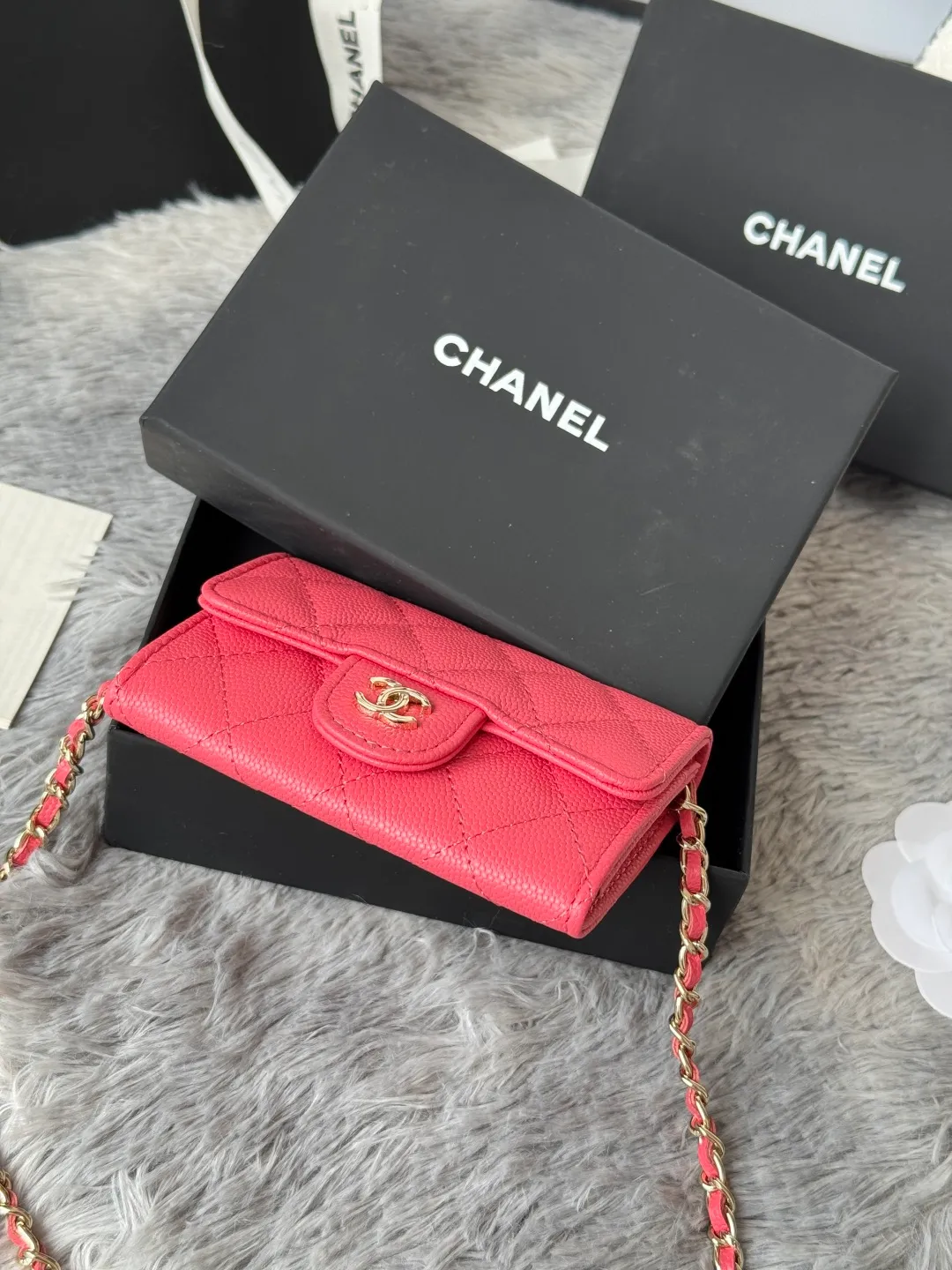 All Categories Chanel Women's Bags (Chanel) Chanel A81081