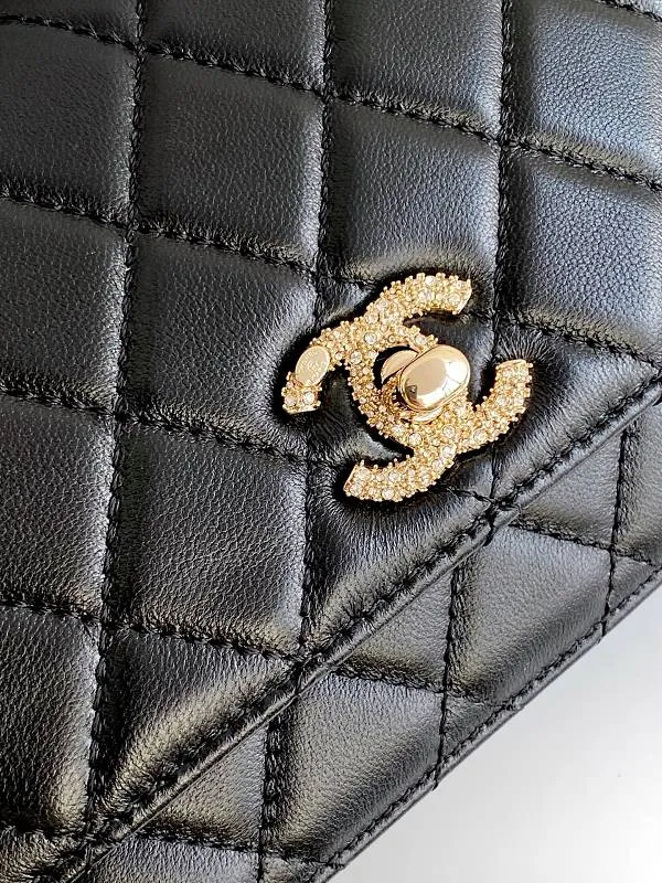 All Categories Chanel Women's Bags 2 (Chanel) Chanel Original Order AP4413