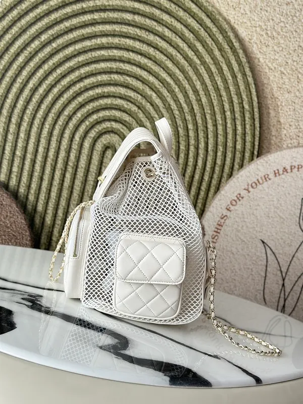 All Categories Chanel Women's Bags 2 (Chanel) Chanel Original Order AS5492