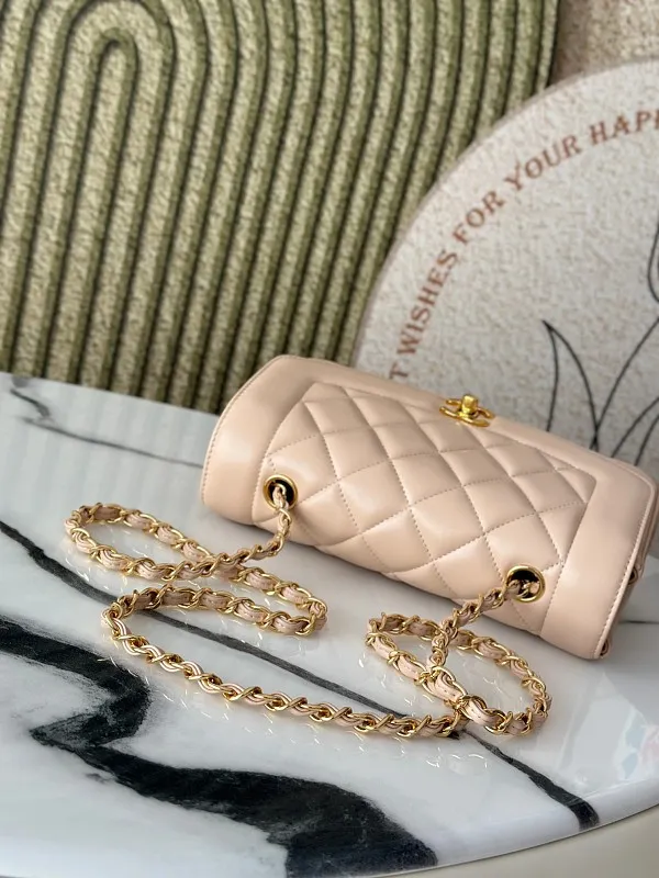 All Categories Chanel Women's Bags (Chanel) Chanel A2221