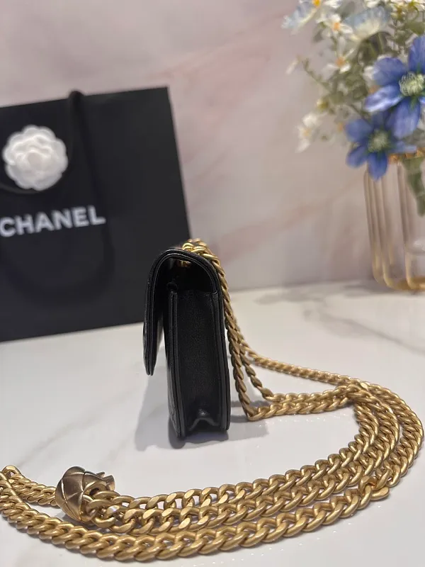 All Categories Chanel Women's Bags (Chanel) Chanel 3047