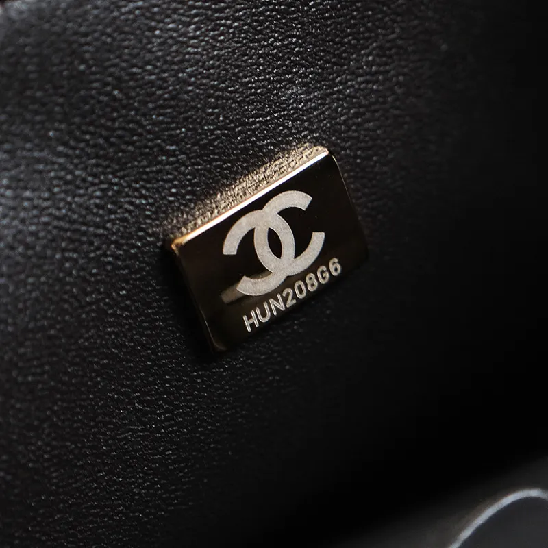 All Categories Chanel Women's Bags (Chanel) Chanel 252