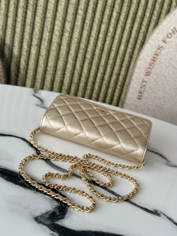 All Categories Chanel Women's Bags (Chanel) Chanel 0250
