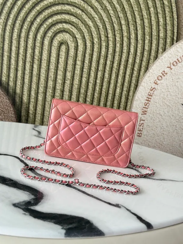 All Categories Chanel Women's Bags (Chanel) Chanel 0250