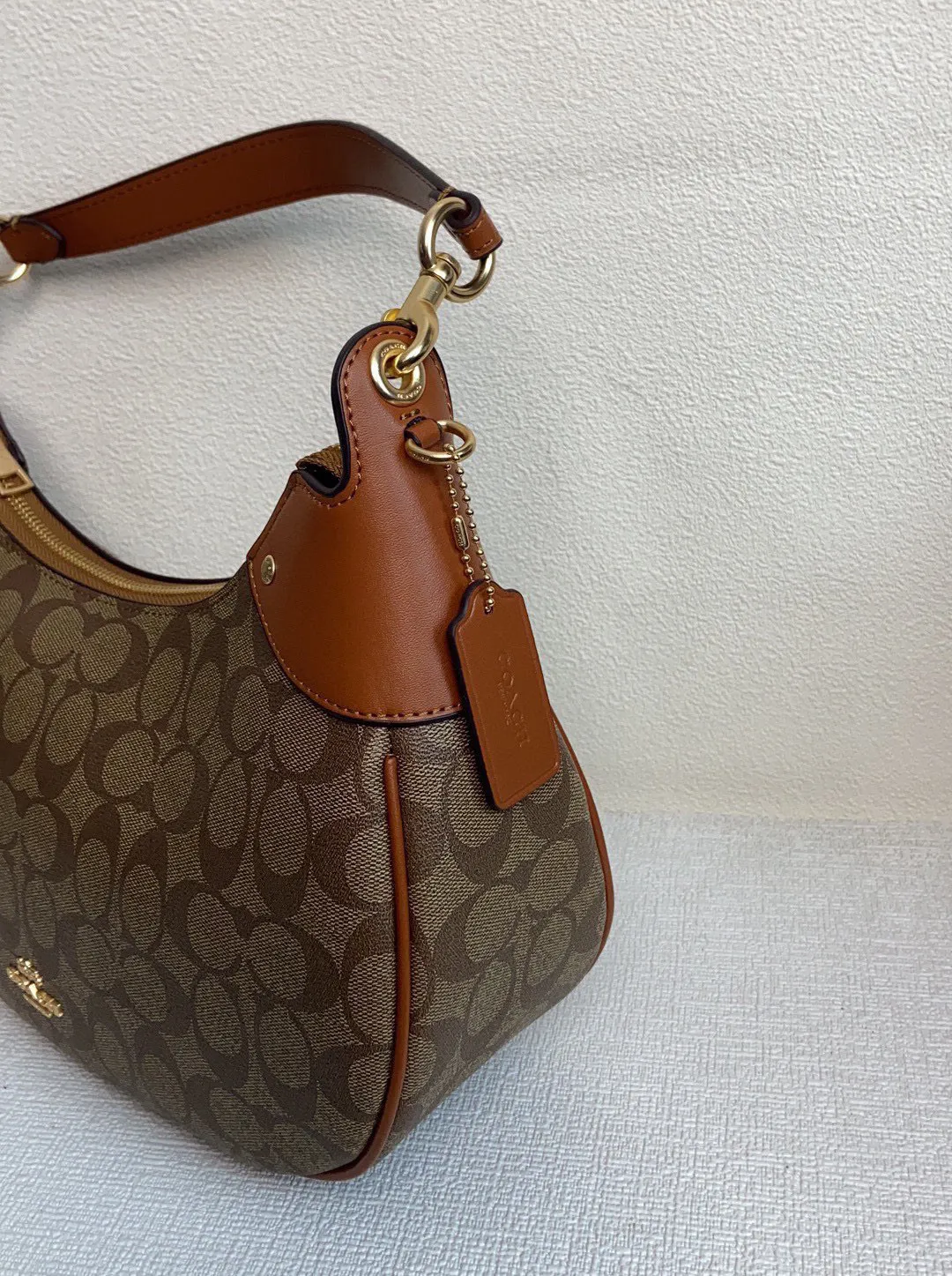 All Categories Coach Women's Bags (COACH) CI790