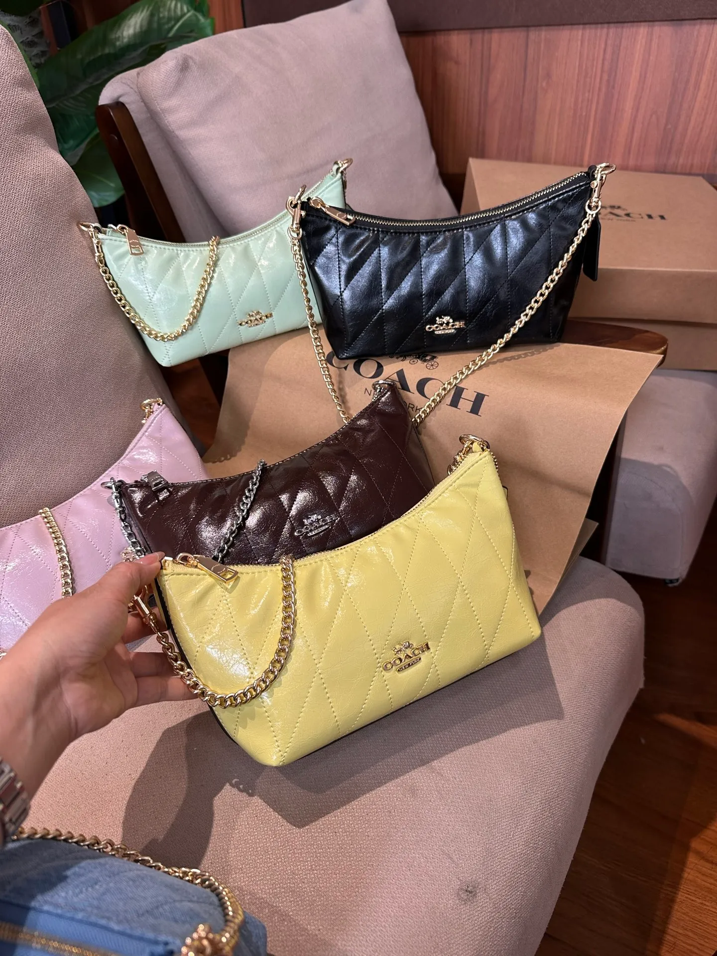 All Categories COACH Women's Bags COACH CDZ88
