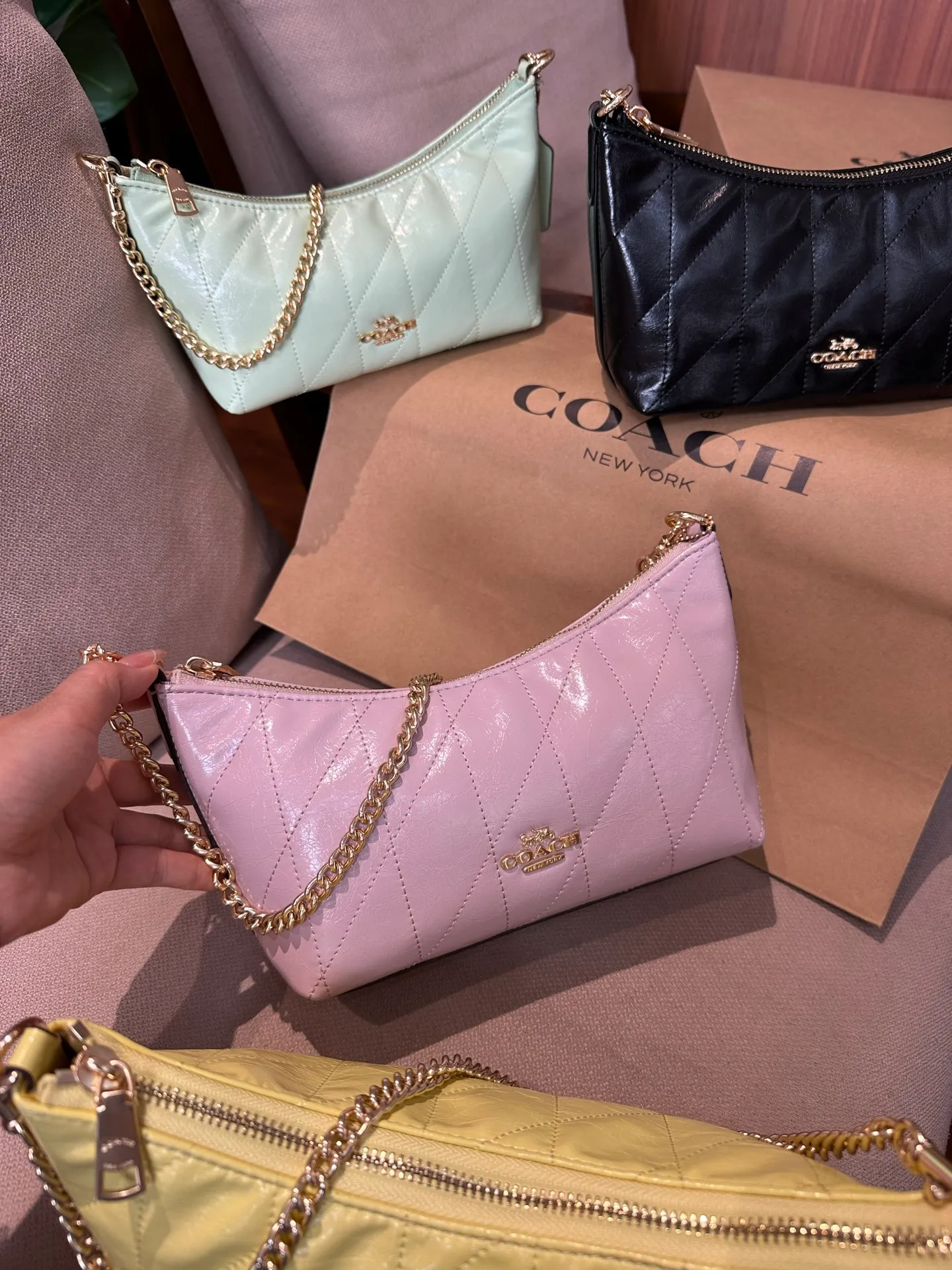 All Categories COACH Women's Bags COACH CDZ88