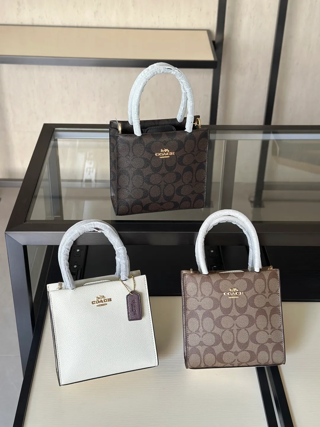 All Categories Coach Women's Bags (COACH) Coach C21845693C2183