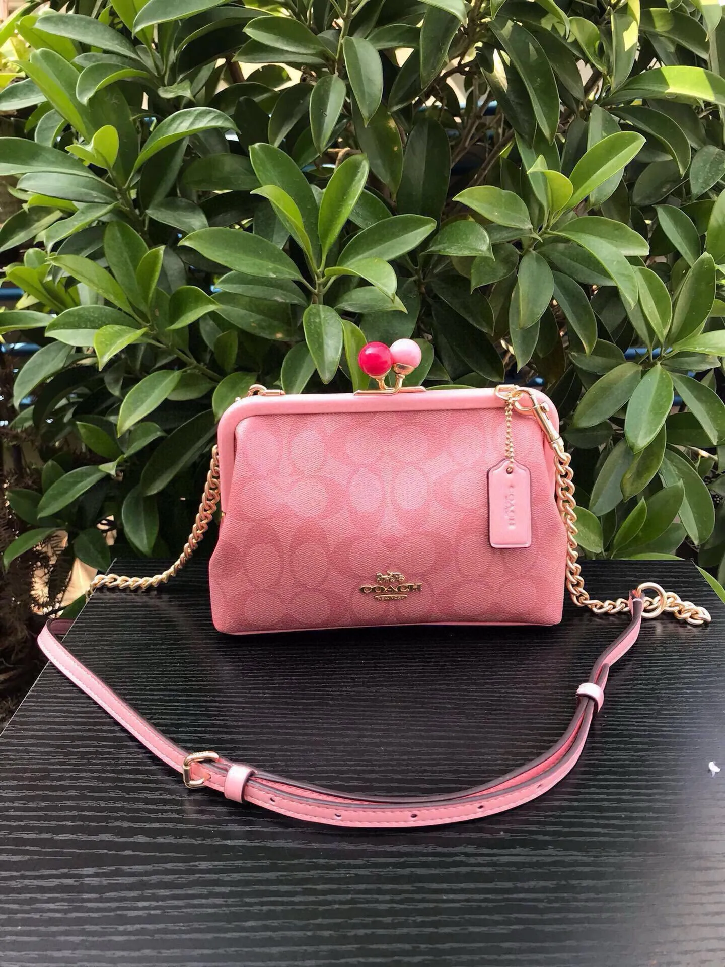 All Categories Coach Women's Bags (COACH) Coach C1451