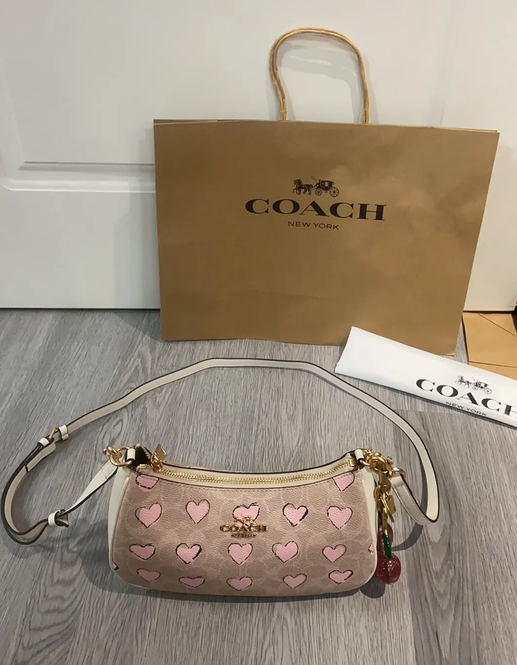 All Categories COACH Women's Bags COACH CBS73