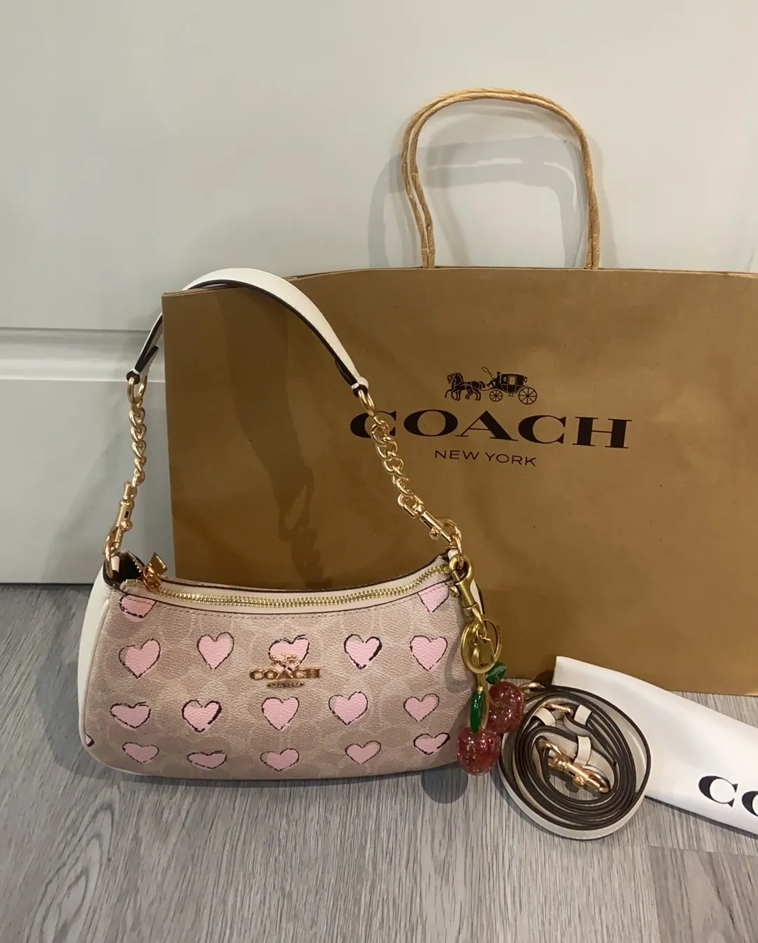 All Categories COACH Women's Bags COACH CBS73