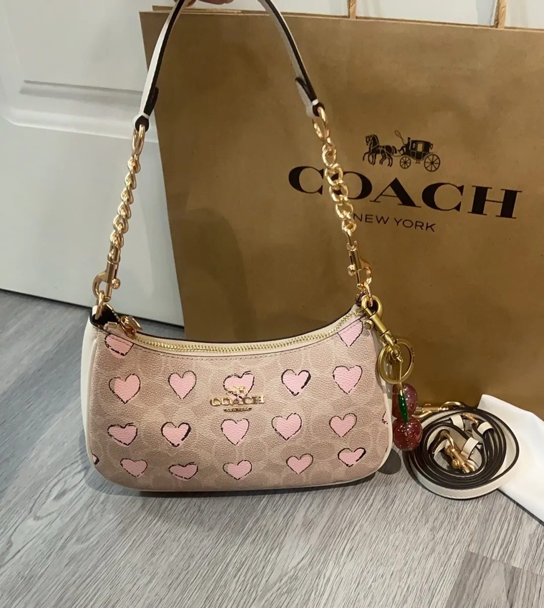 All Categories COACH Women's Bags COACH CBS73