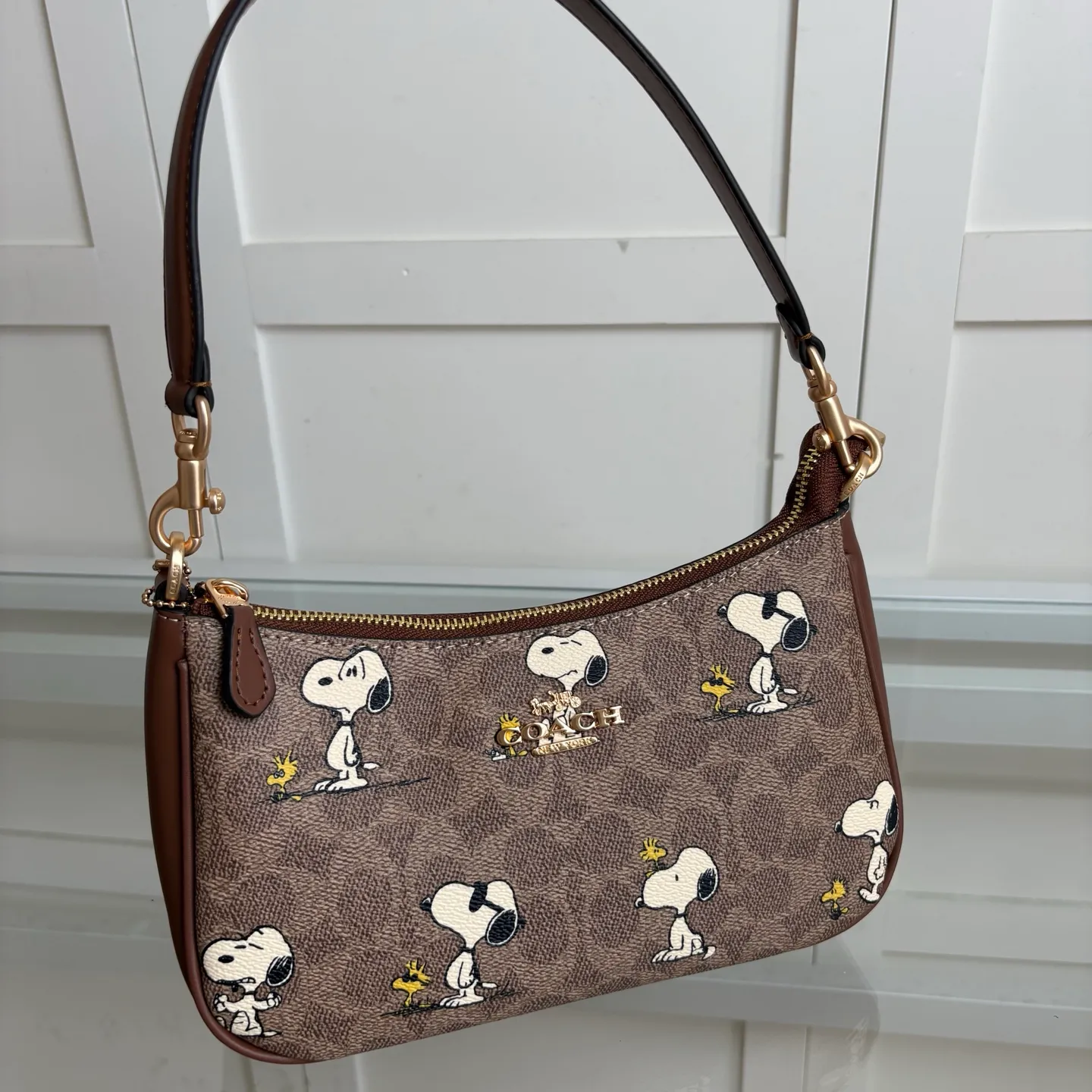 All Categories COACH Women's Bags COACH CBJ88
