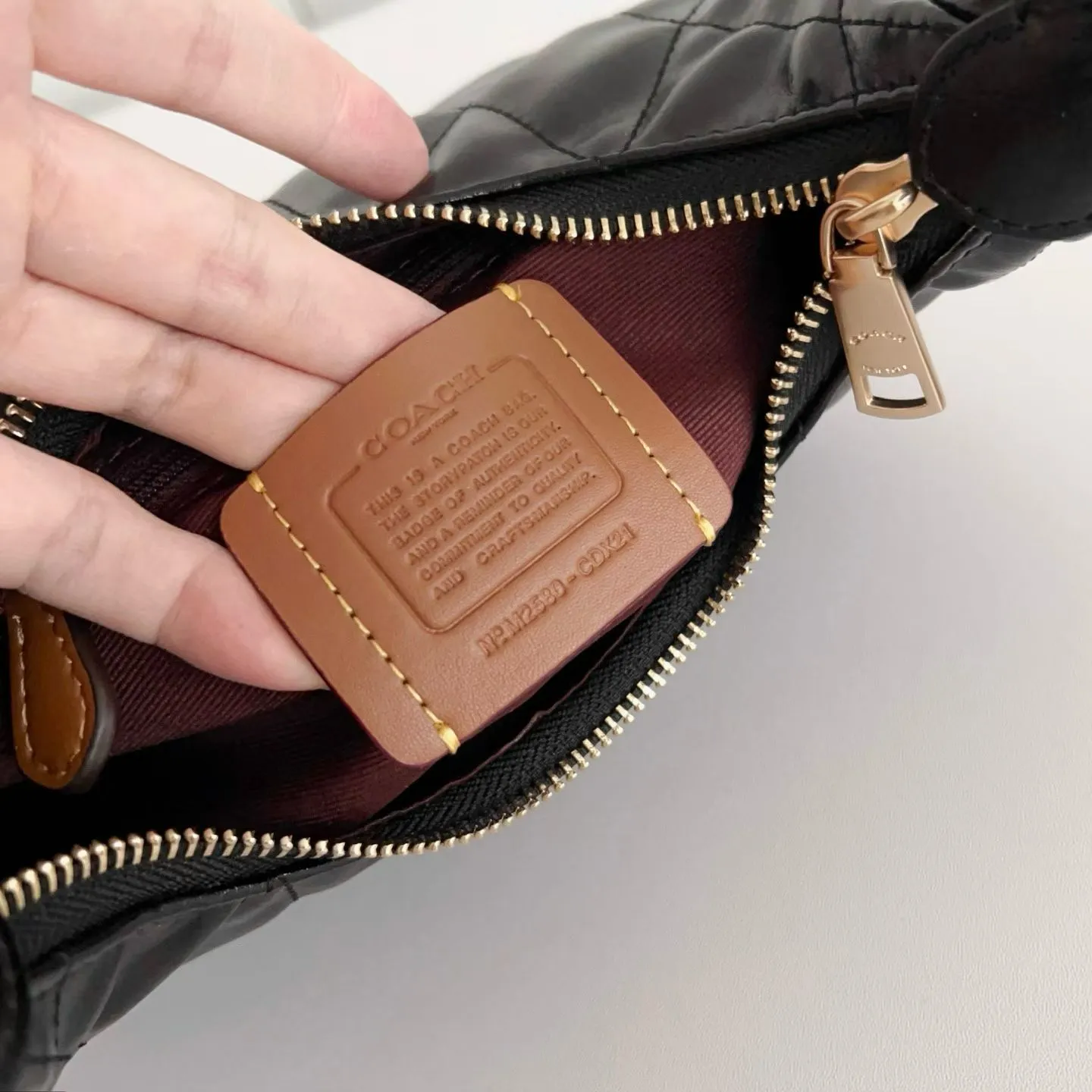 All Categories Coach Women's Bags (COACH) Coach CDX17