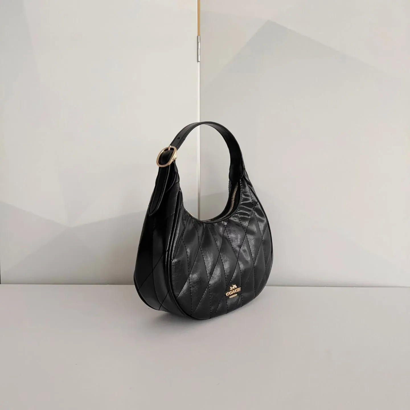 All Categories Coach Women's Bags (COACH) Coach CDX17