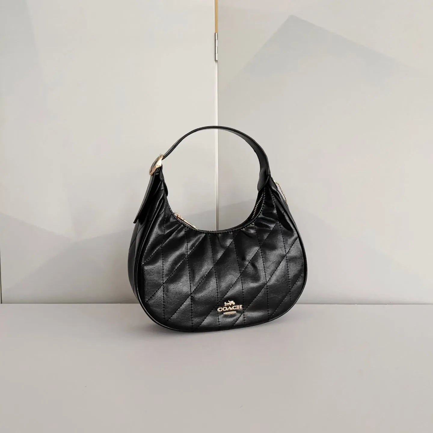 All Categories Coach Women's Bags (COACH) Coach CDX17