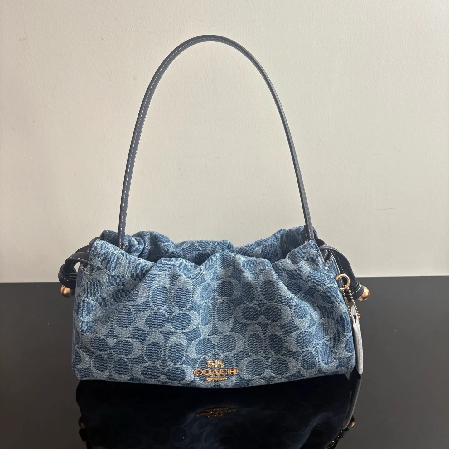 All Categories COACH Women's Bags COACH CDB94