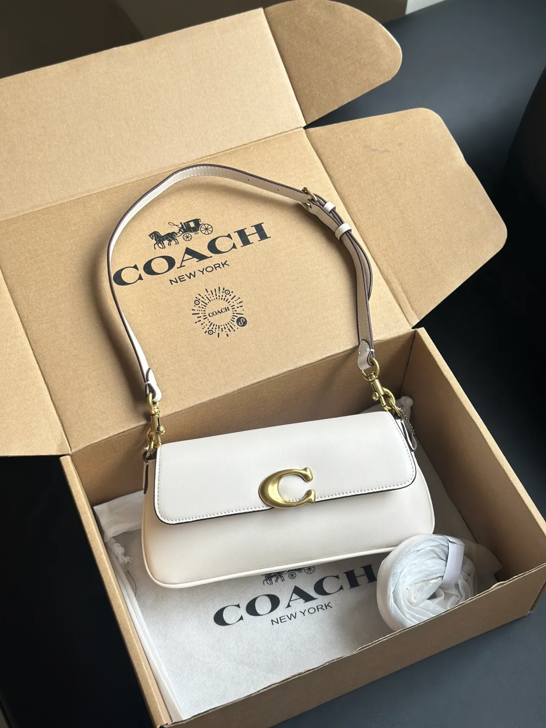 All Categories Official Website "Brand Women's Bags" Women's Bags 💙 COACH 2026 New COACH Underarm Bag