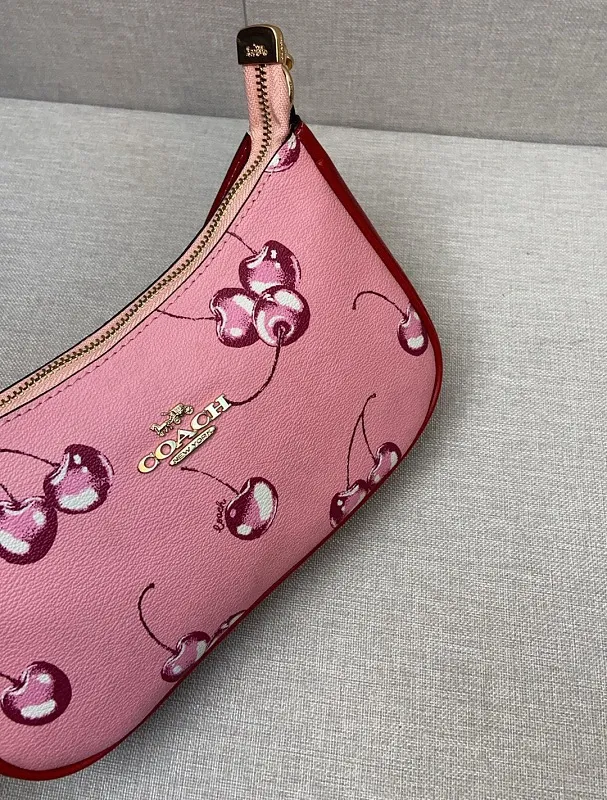 All Categories Coach Women's Bags (COACH) Coach C B290