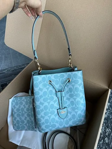 All Categories COACH Women's Bags COACH CEZ36
