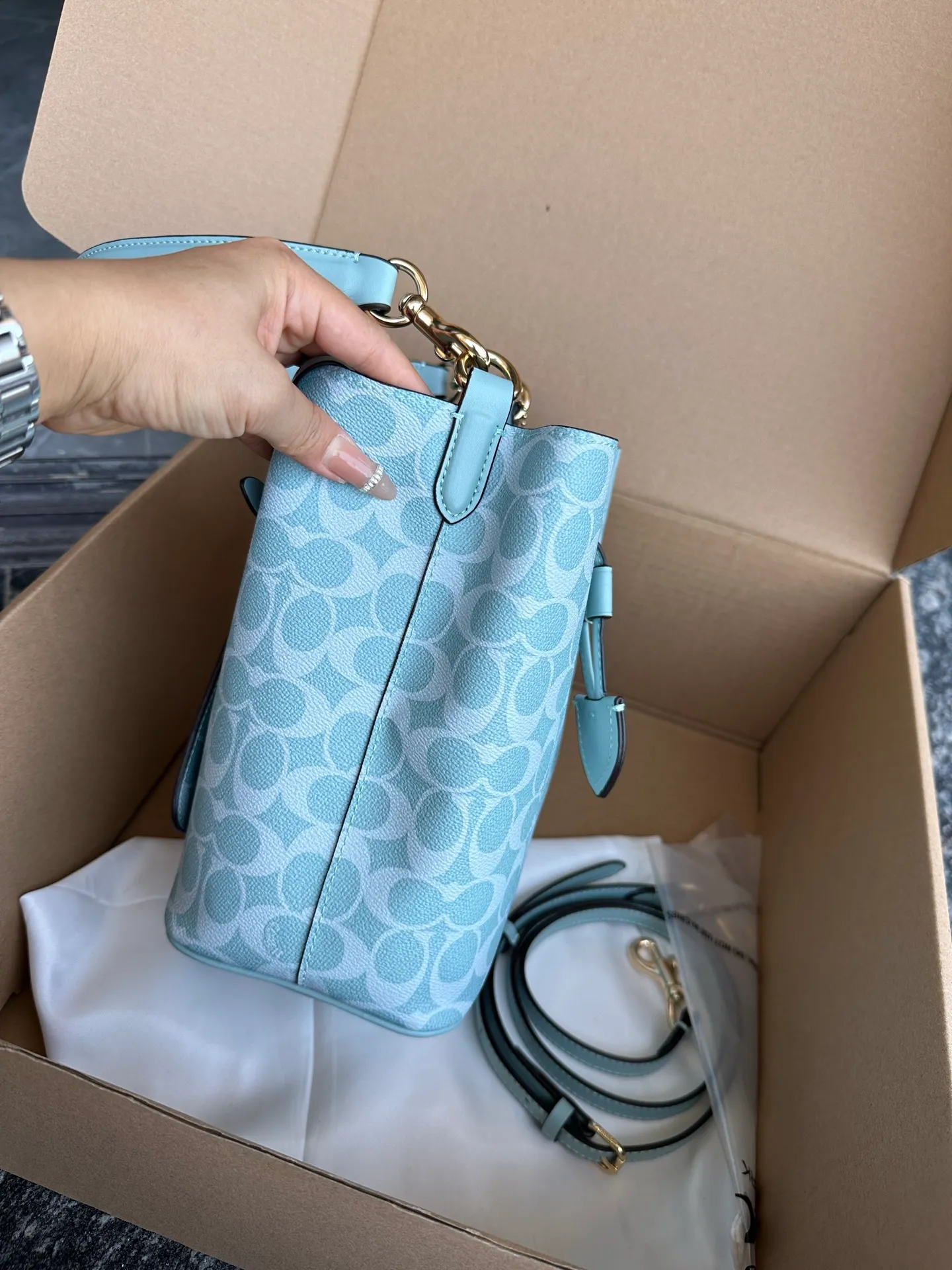 All Categories COACH Women's Bags COACH CEZ36