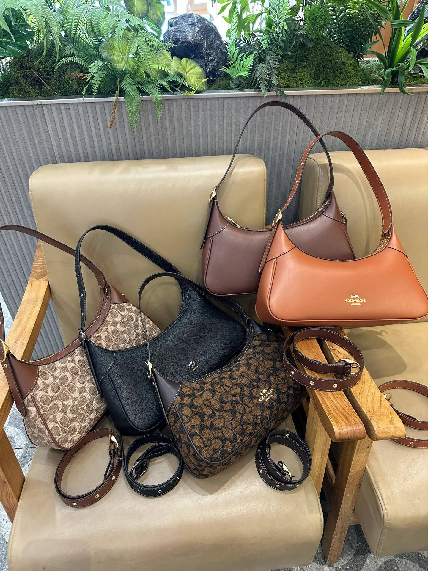 All Categories COACH Women's Bags COACH CDV35