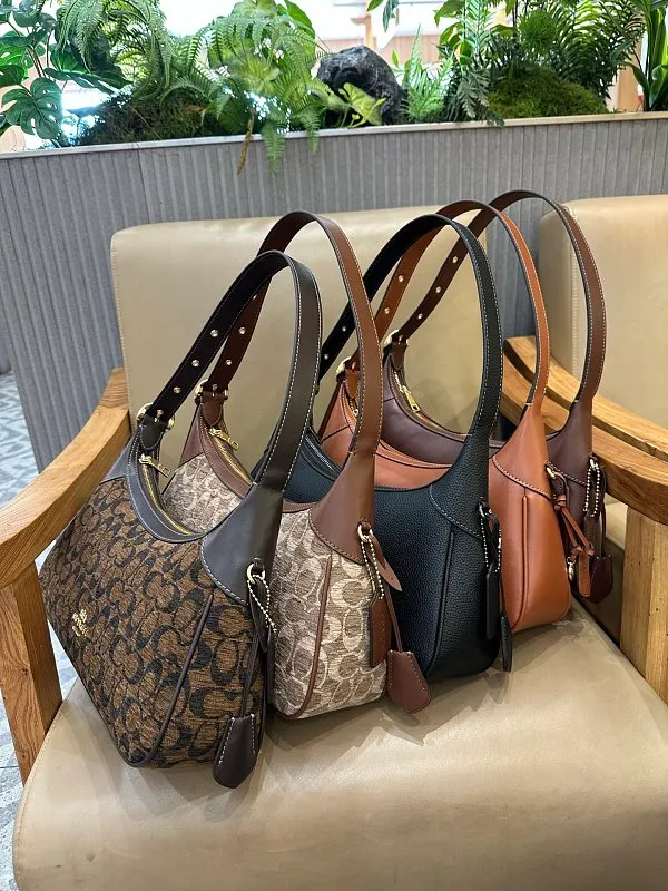 All Categories COACH Women's Bags COACH CDV35
