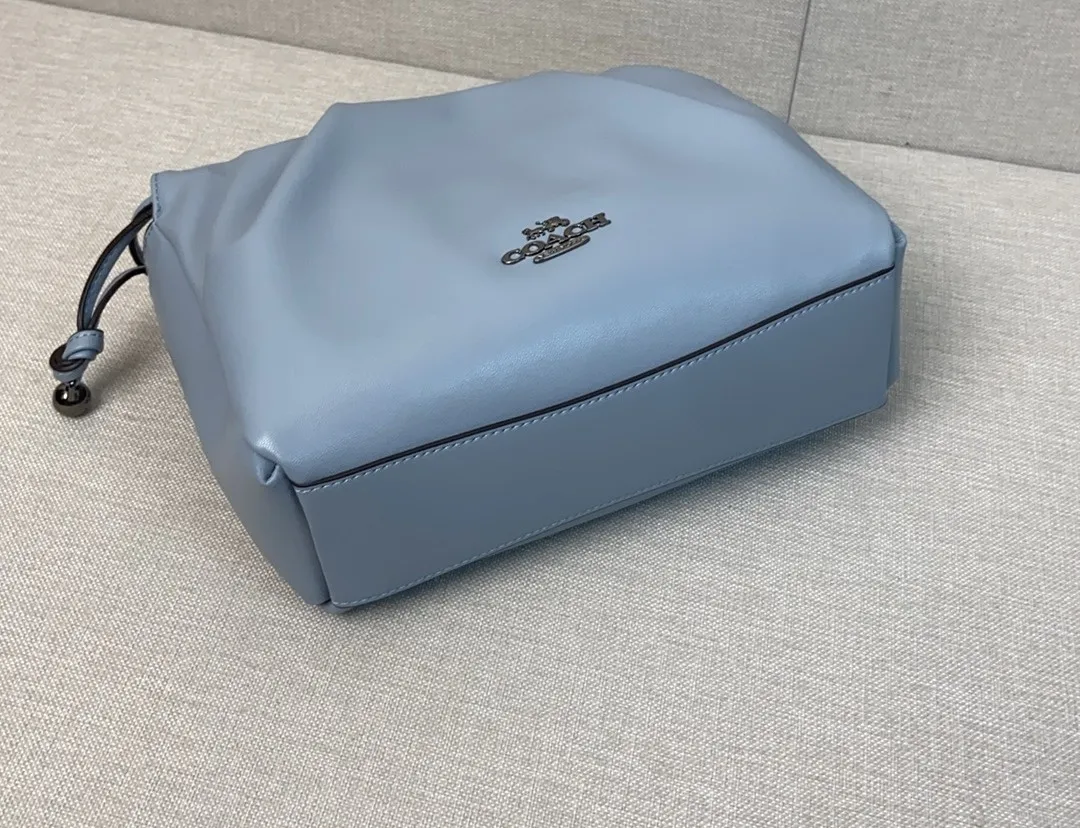All Categories Coach Women's Bags (COACH) Coach CV529
