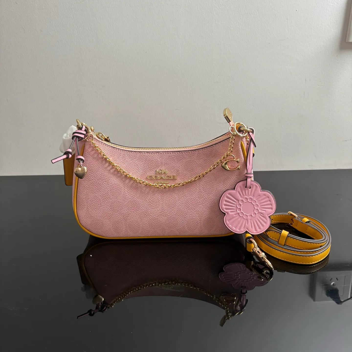 All Categories Coach Women's Bags (COACH) Coach CEA20