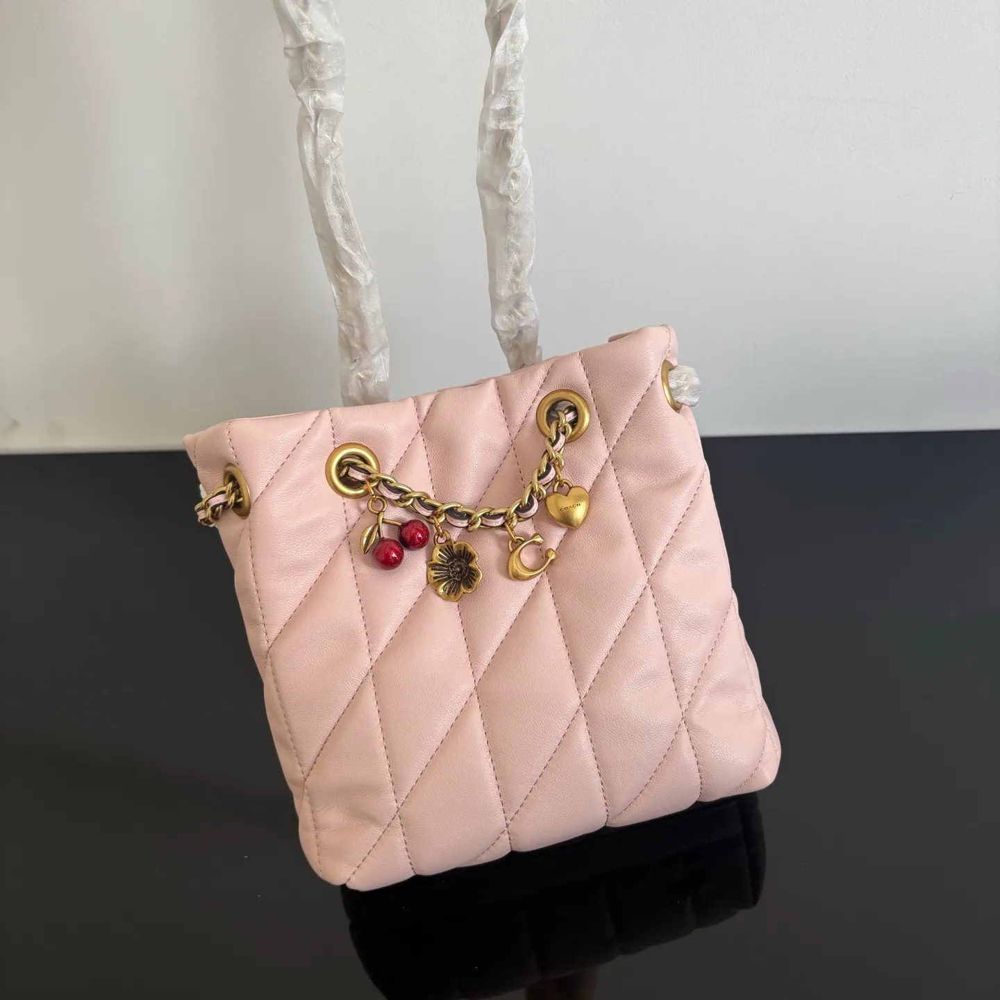 All Categories Coach Women's Bags (COACH) Coach 1491