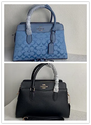 All Categories COACH Women's Bags COACH CH859