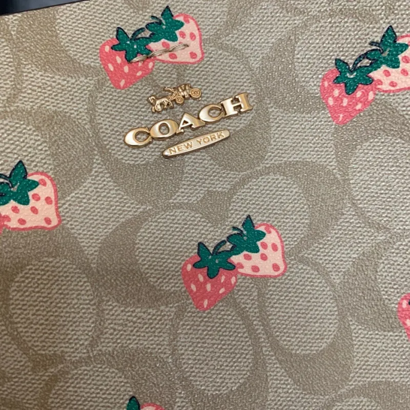 All Categories COACH Women's Bags COACH CB602