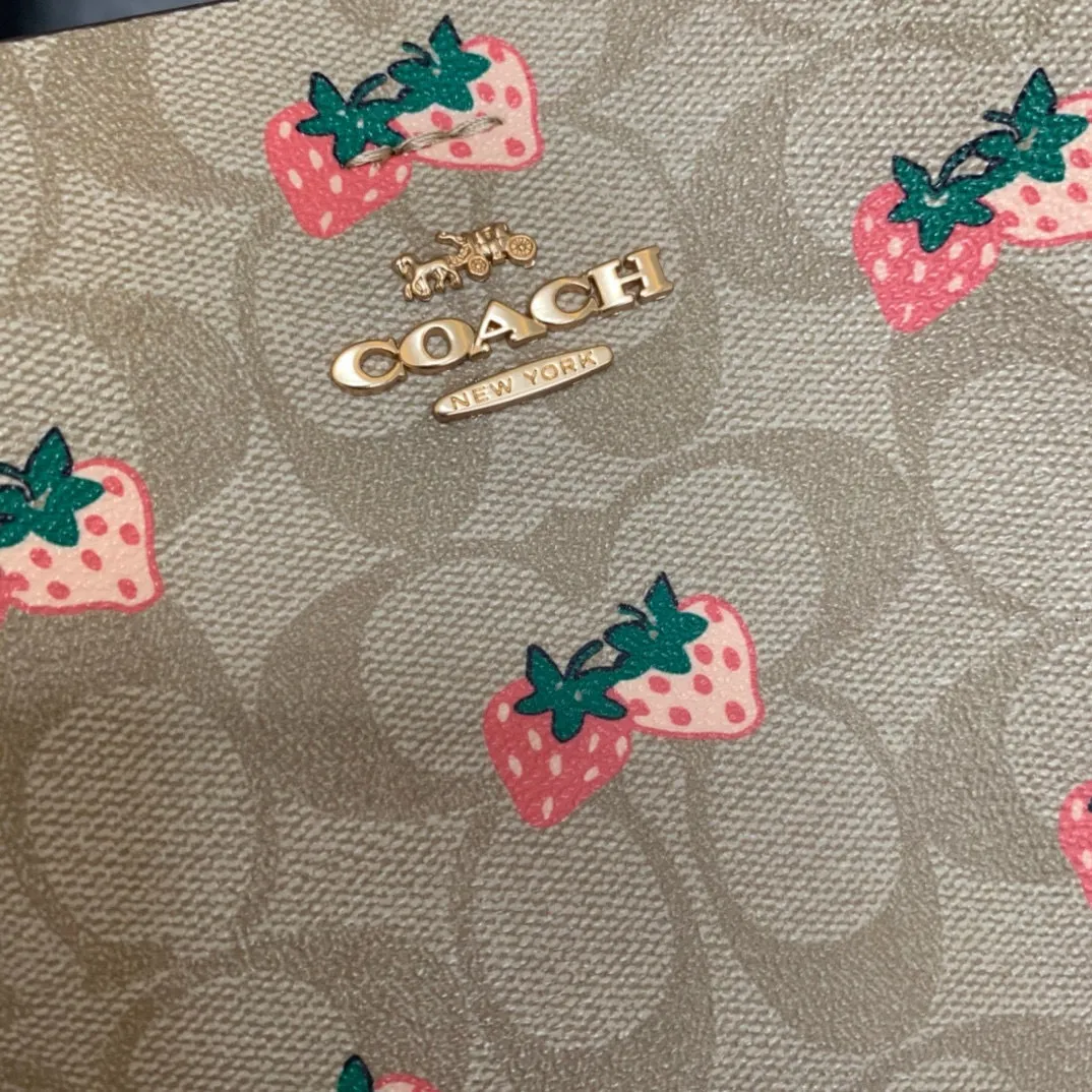 All Categories COACH Women's Bags COACH CB602