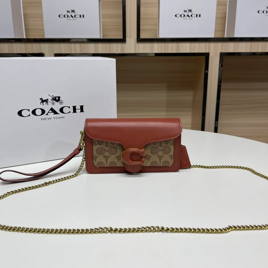 Top original order batch 460💰Coach new minitabby new Dionysus chain crossbody hand envelope bag model CK025 Size: 18.5X11X3