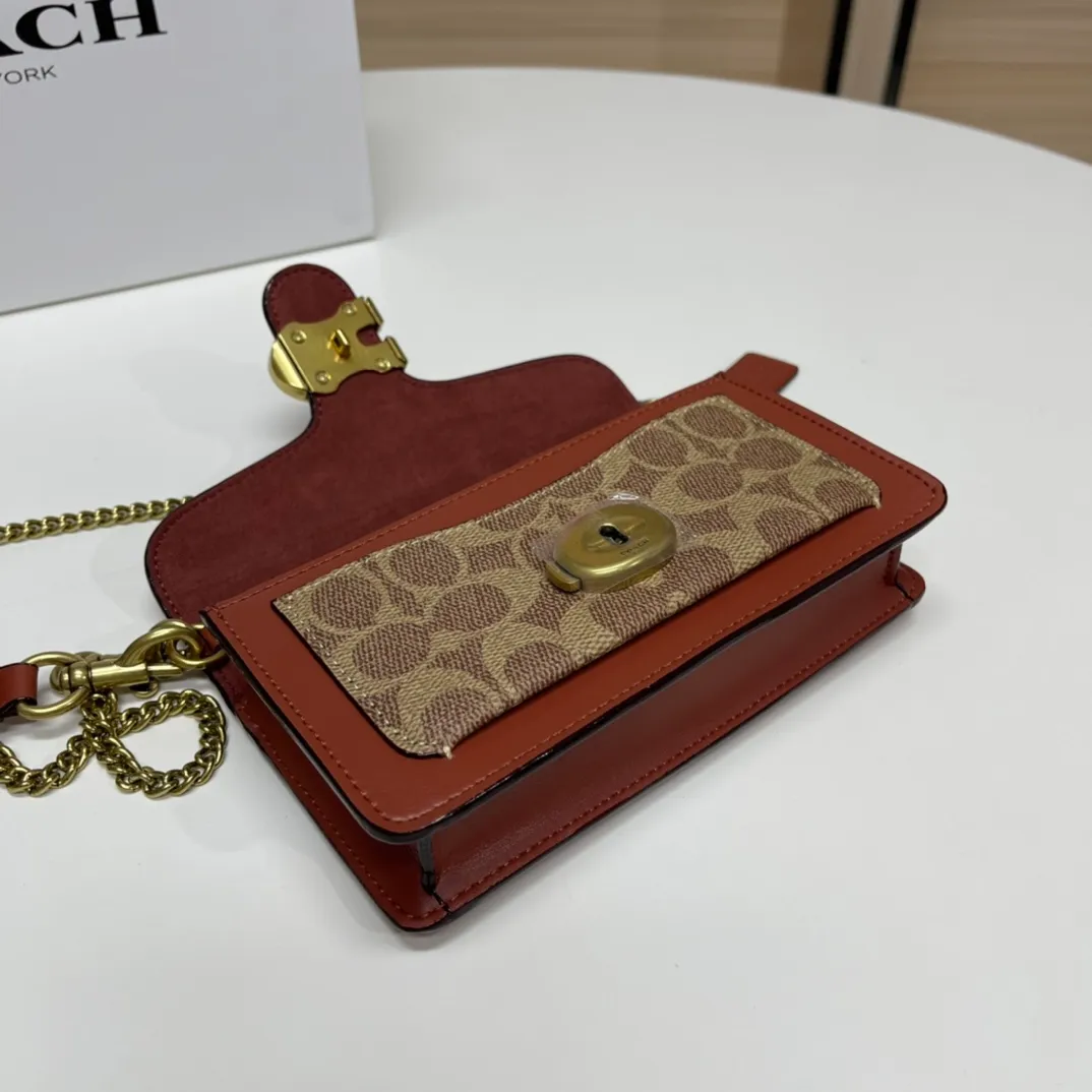 Top original order batch 460💰Coach new minitabby new Dionysus chain crossbody hand envelope bag model CK025 Size: 18.5X11X3