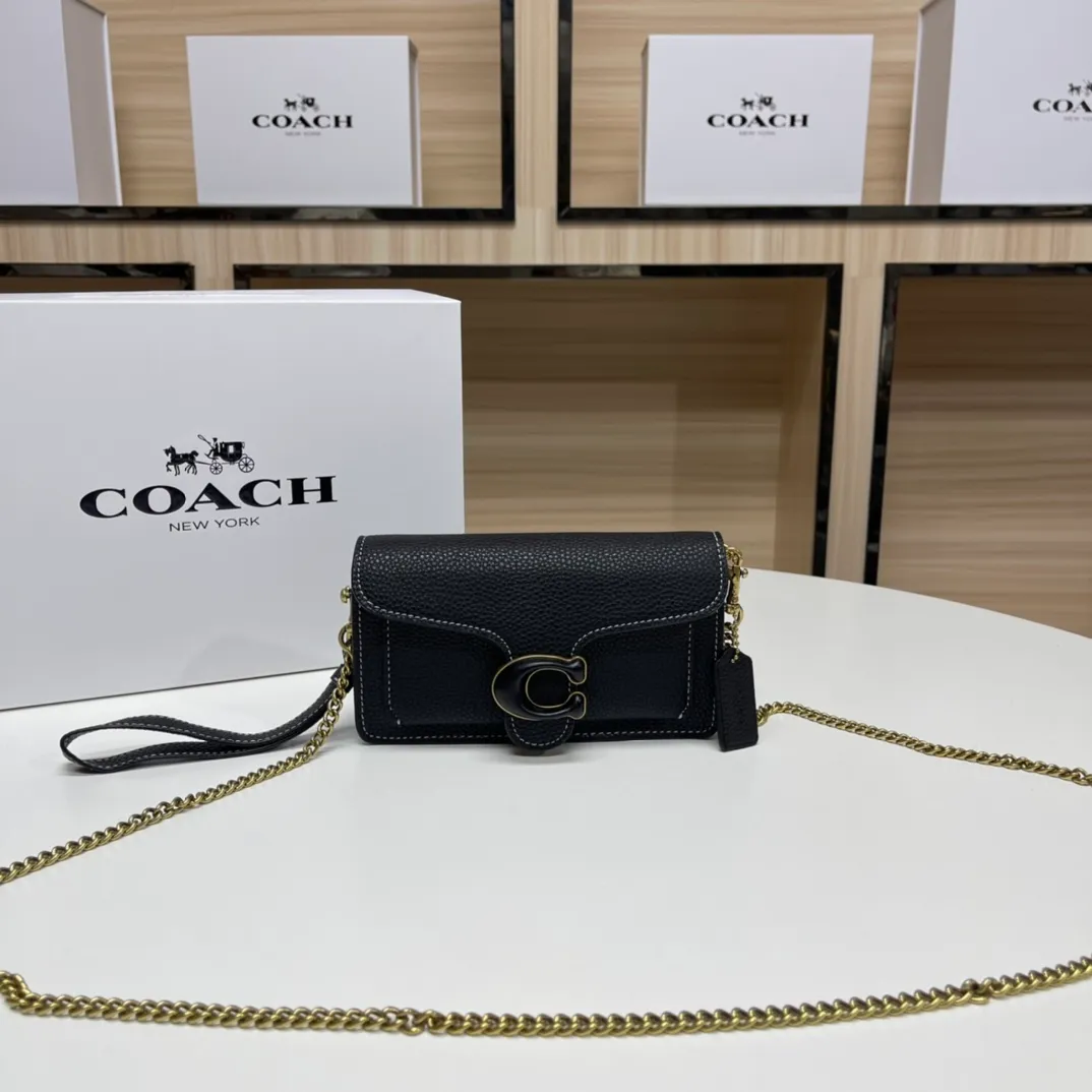 Top original order batch 460💰Coach new minitabby new Dionysus chain crossbody hand envelope bag model CJ925 Size: 18.5X11X3