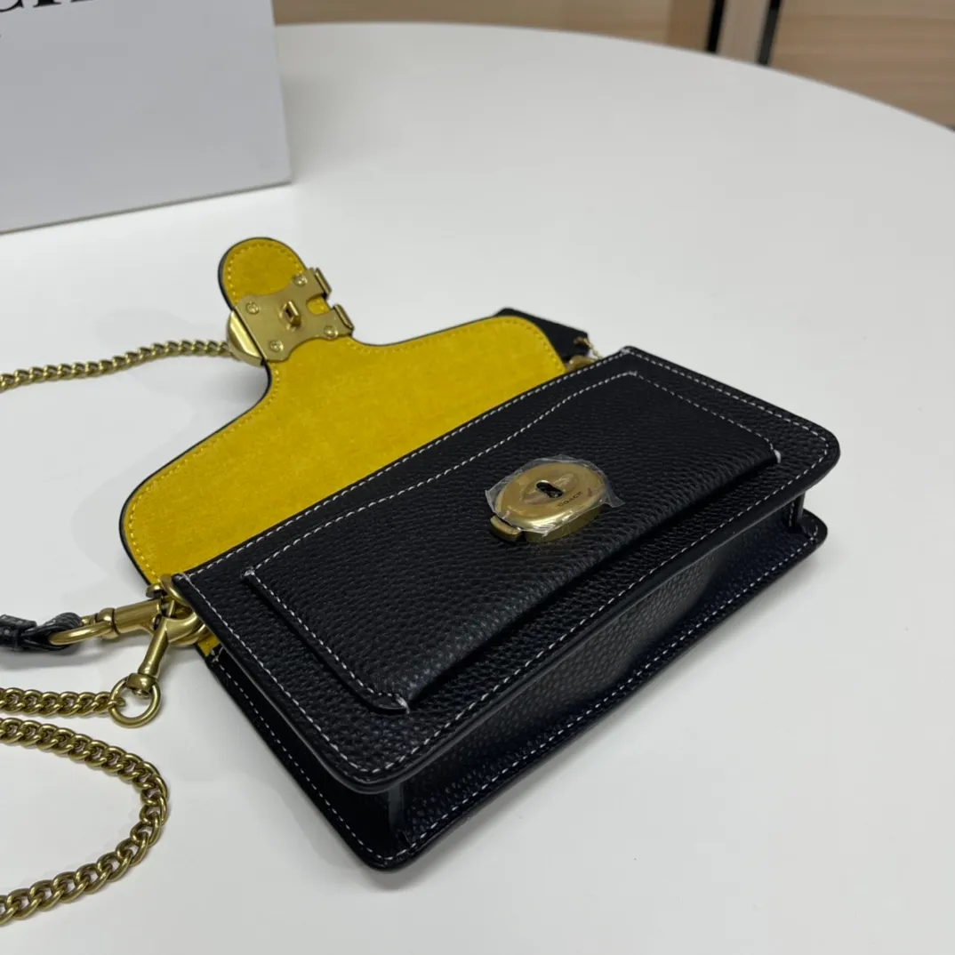 Top original order batch 460💰Coach new minitabby new Dionysus chain crossbody hand envelope bag model CJ925 Size: 18.5X11X3