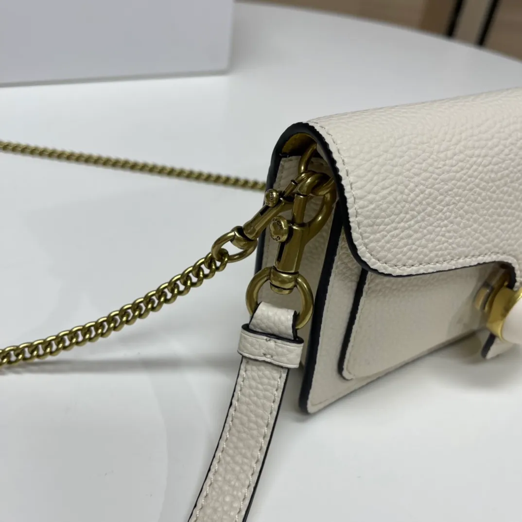 Top original order batch 460💰Coach new minitabby new Dionysus chain crossbody hand envelope bag model CJ925 Size: 18.5X11X3
