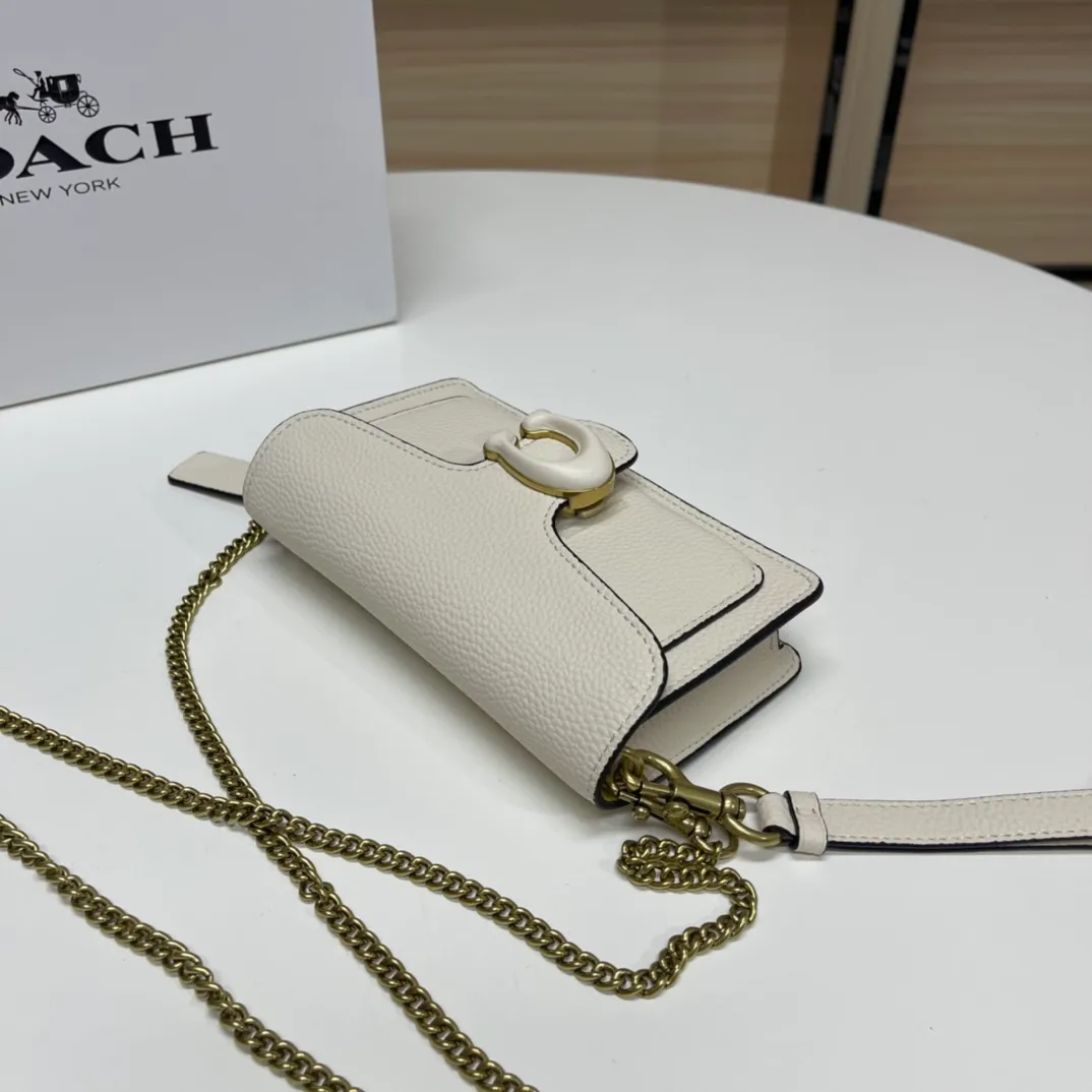 Top original order batch 460💰Coach new minitabby new Dionysus chain crossbody hand envelope bag model CJ925 Size: 18.5X11X3